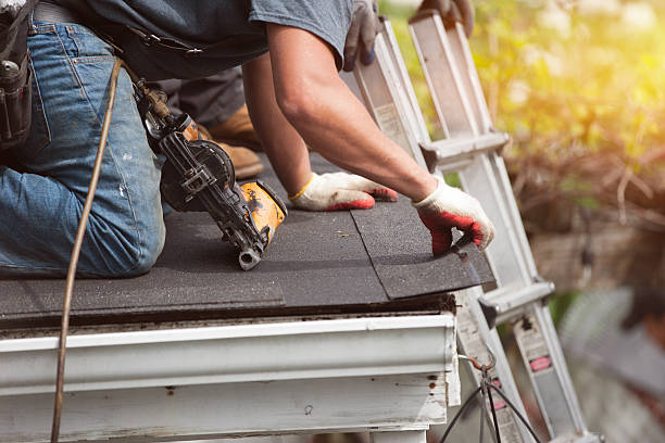 Best Roof Gutter Cleaning  in Stansberry Lake, WA